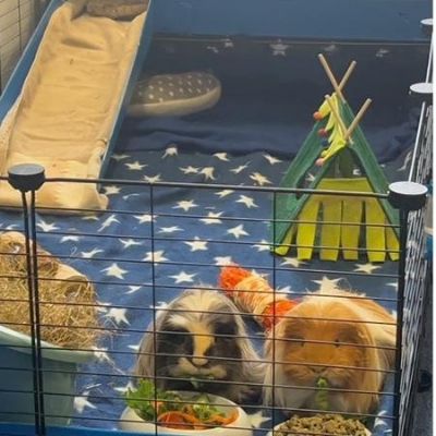 Settling into their new home....