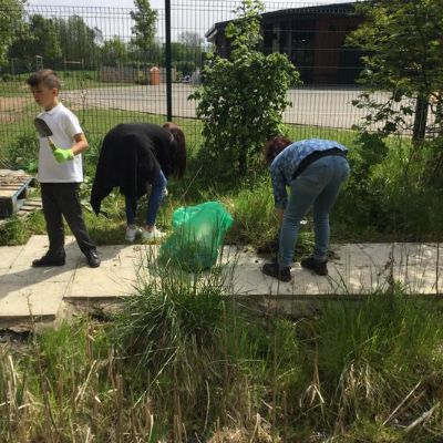 Pond Helpers