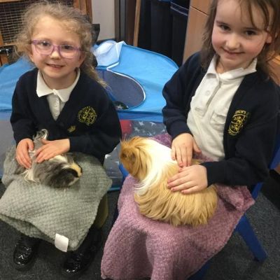Guinea Pig Duties