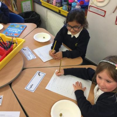 86cb2eff-610a-4642-9cec-abff34a5feac1x1